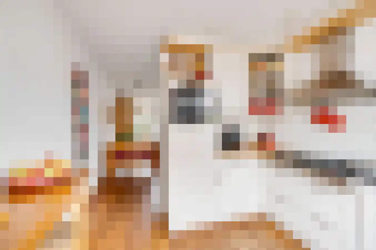 Kalkbranderstraat 20 Brielle thumbnail 14
