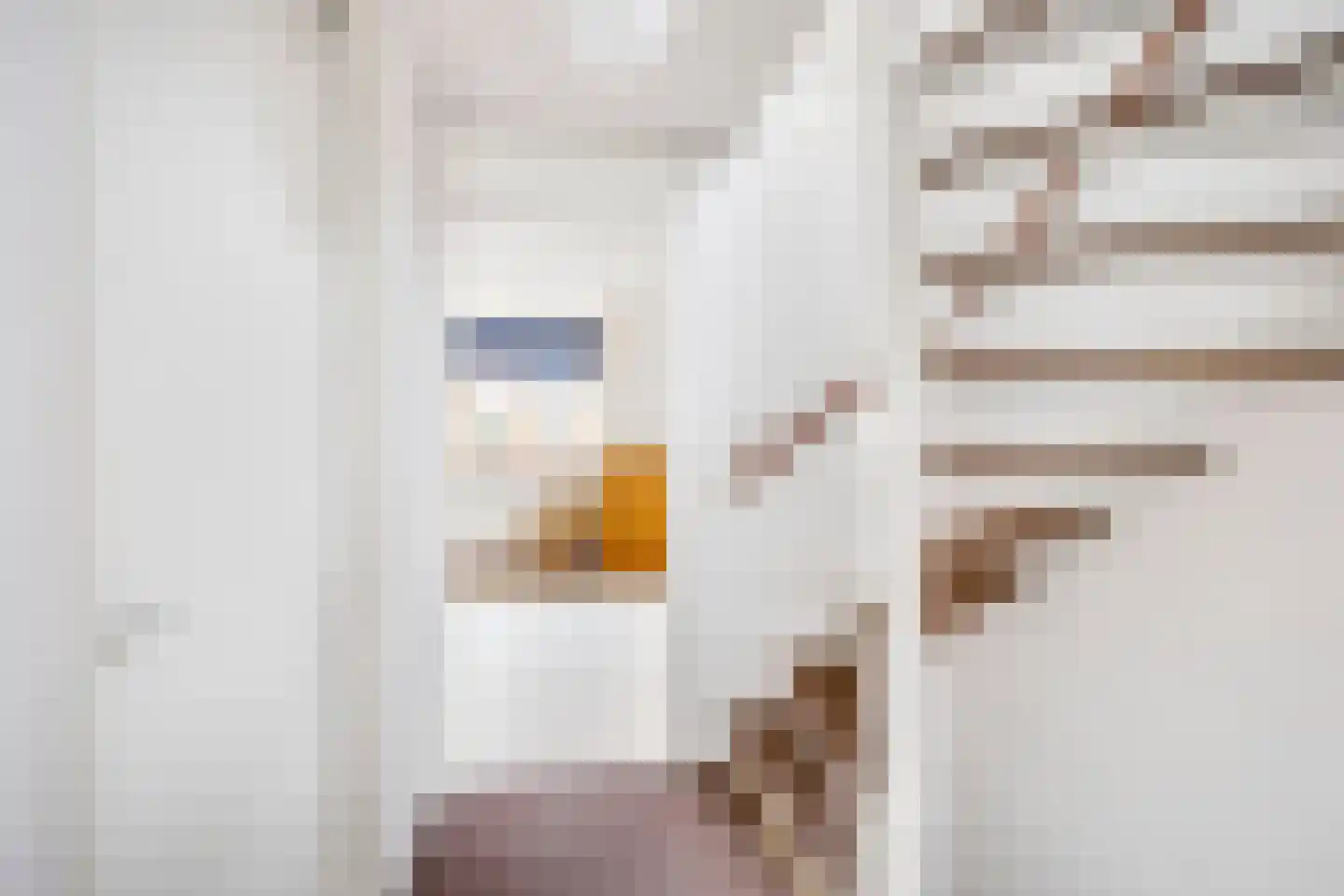 Kalkbranderstraat 20 Brielle thumbnail 15