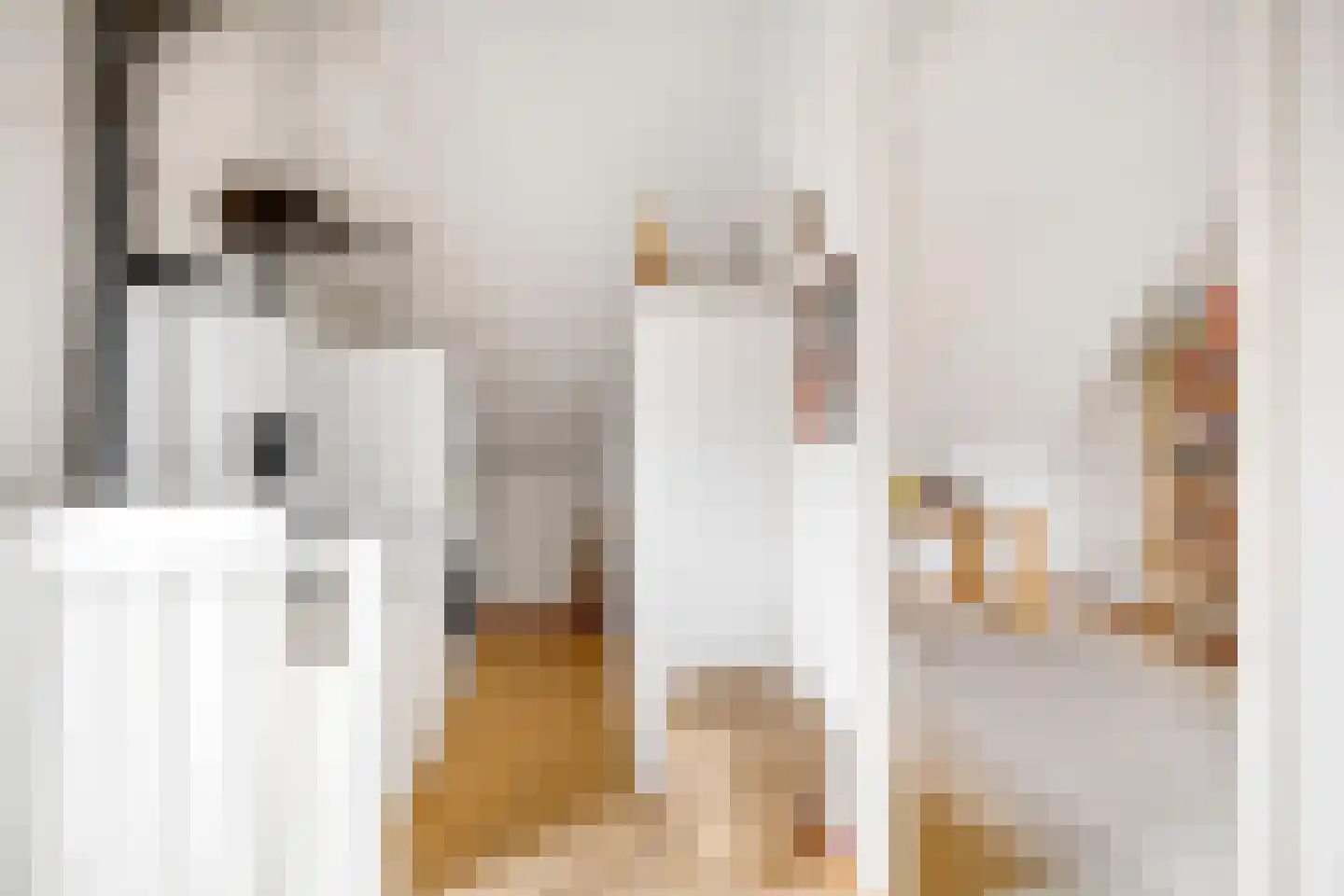 Kalkbranderstraat 20 Brielle thumbnail 22