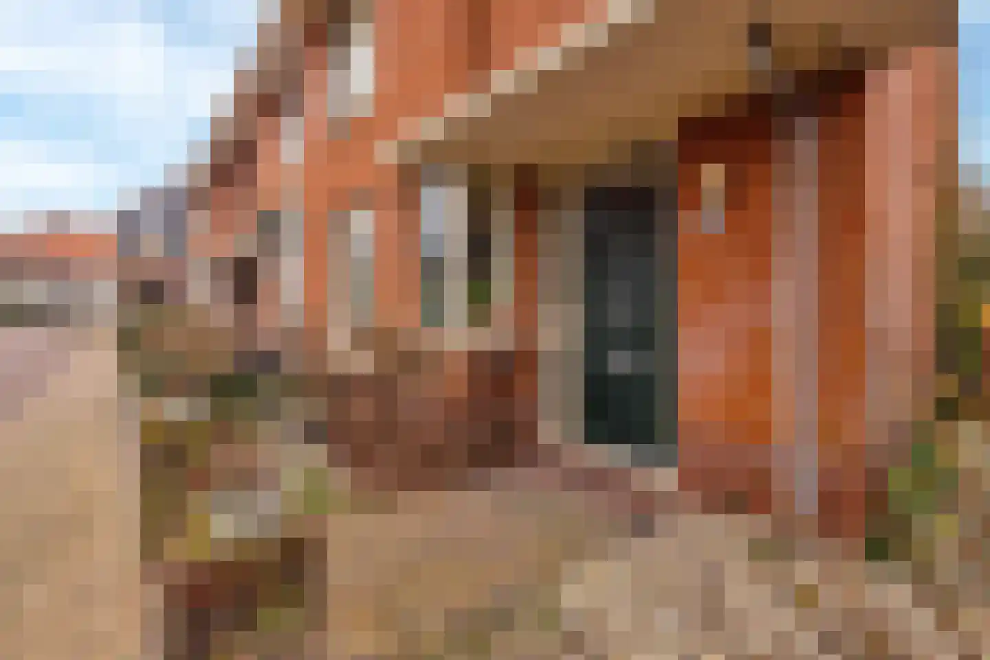 Kalkbranderstraat 20 Brielle thumbnail 29