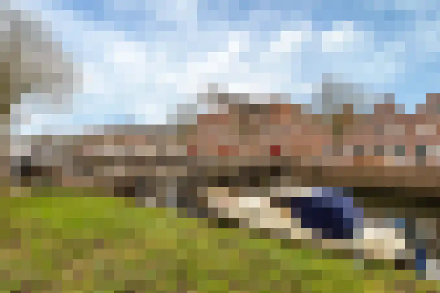 Kalkbranderstraat 20 Brielle thumbnail 31