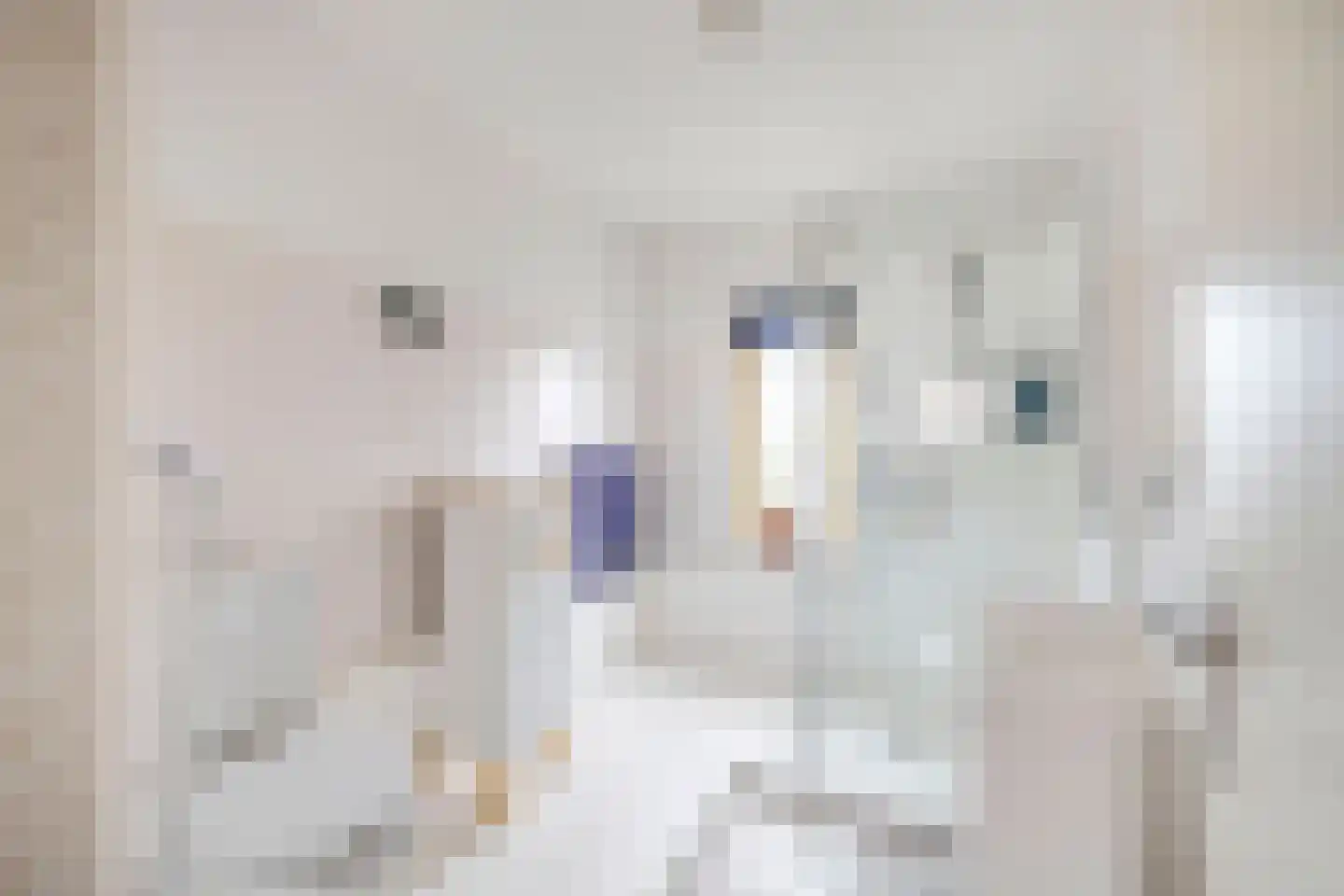 Kalkbranderstraat 20 Brielle thumbnail 4