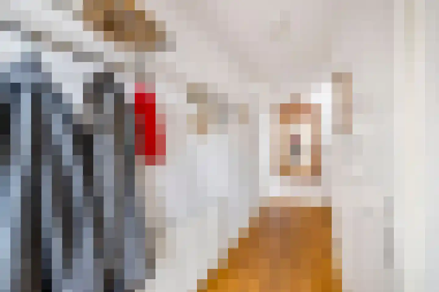 Kalkbranderstraat 20 Brielle thumbnail 7