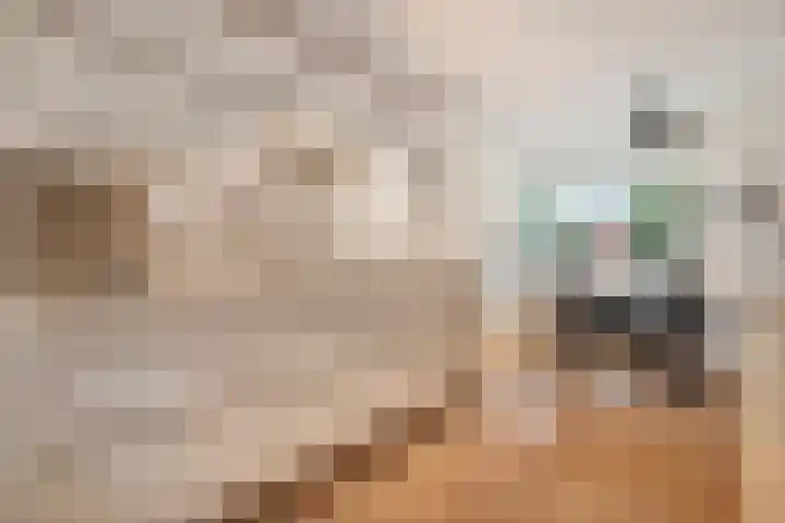 Kalkbranderstraat 4 Zwolle thumbnail 16