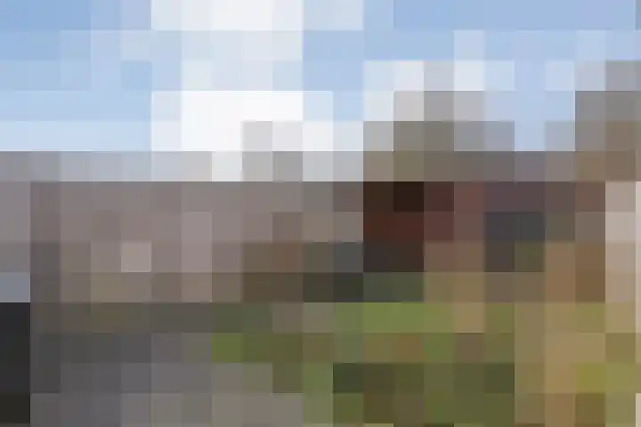 Kalkbranderstraat 4 Zwolle thumbnail 31