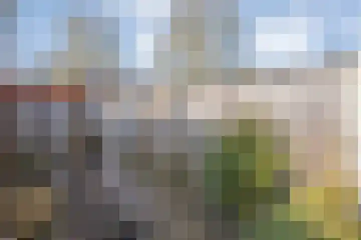 Kalkbranderstraat 4 Zwolle thumbnail 35