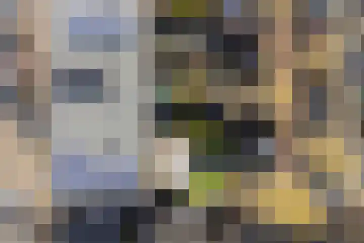 Kalkbranderstraat 4 Zwolle thumbnail 6