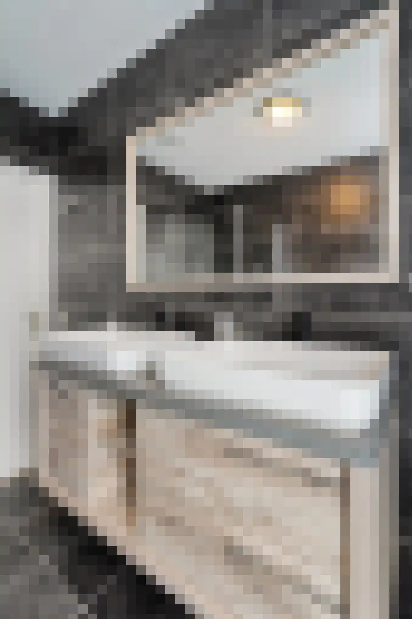 Kalkbranderstraat 42 Zwolle thumbnail 34