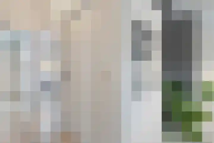 Kalkbranderstraat 56 Zwolle thumbnail 18