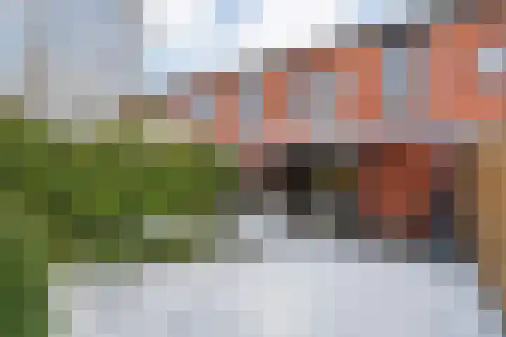 Kalkbranderstraat 56 Zwolle thumbnail 29