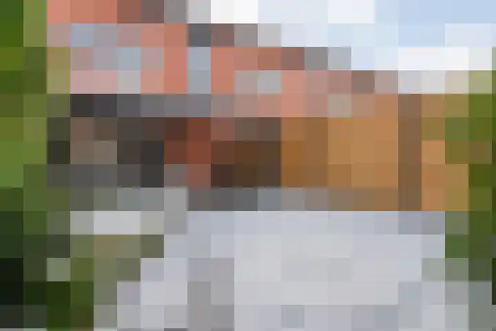 Kalkbranderstraat 56 Zwolle thumbnail 31