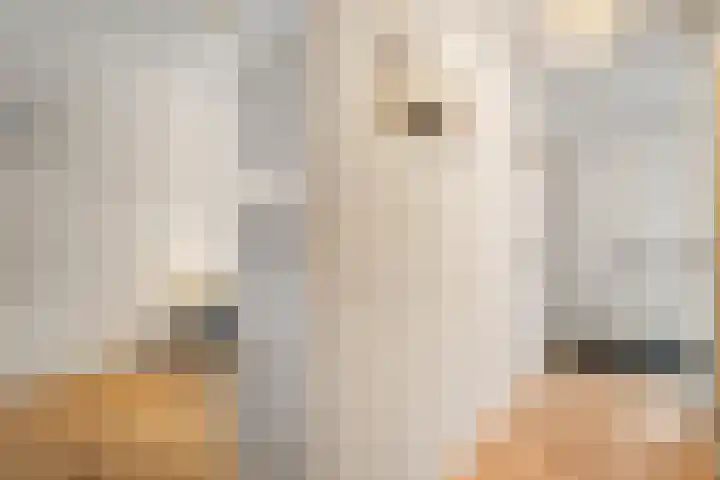 Kalkbranderstraat 56 Zwolle thumbnail 7