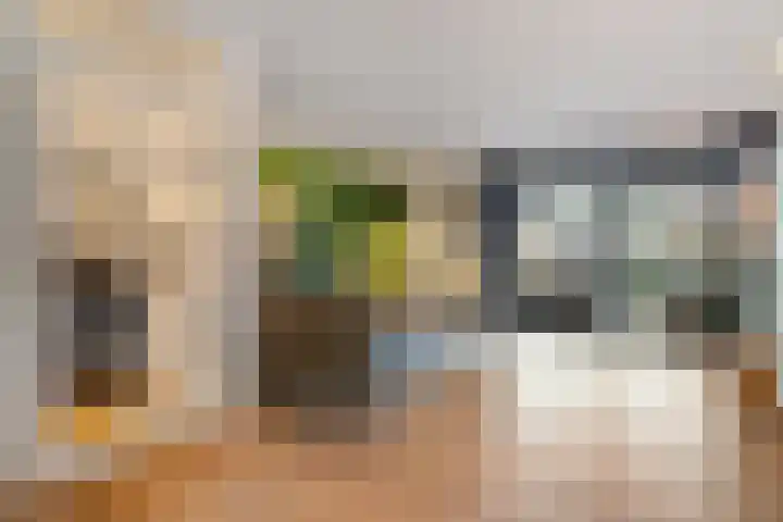 Kalkbranderstraat 56 Zwolle thumbnail 9