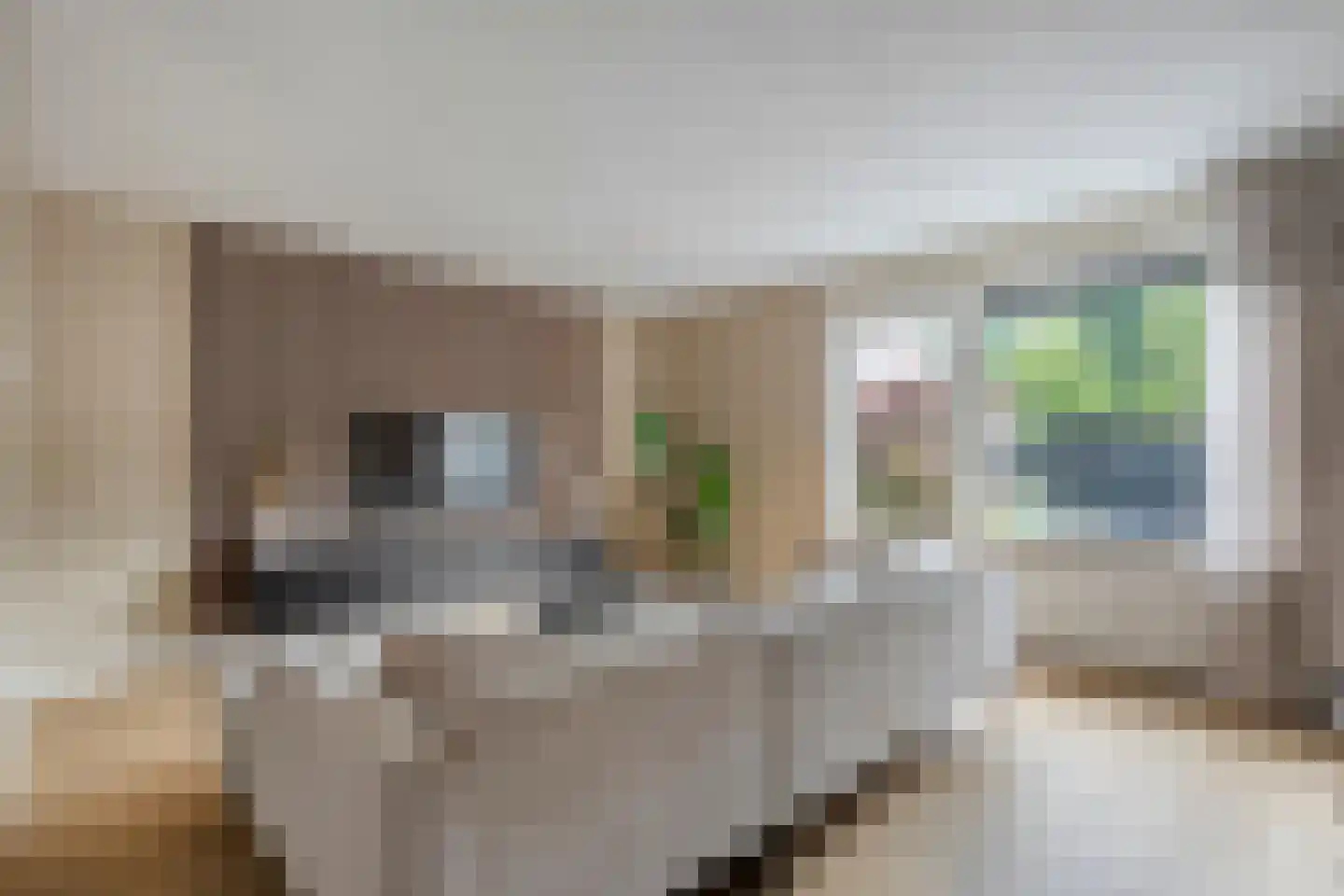 Kalkbranderstraat 66 Zwolle thumbnail 12