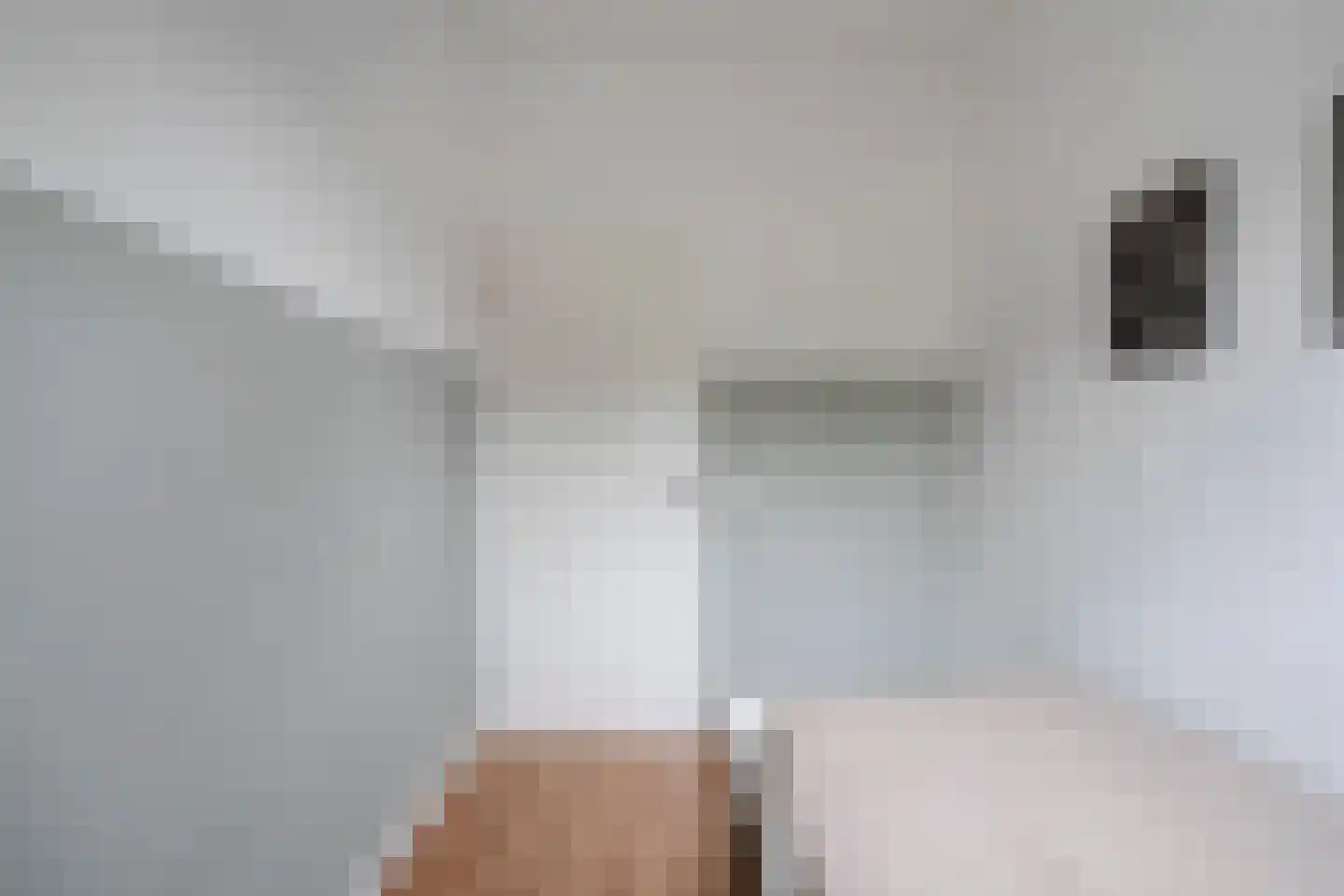 Kalkbranderstraat 66 Zwolle thumbnail 26