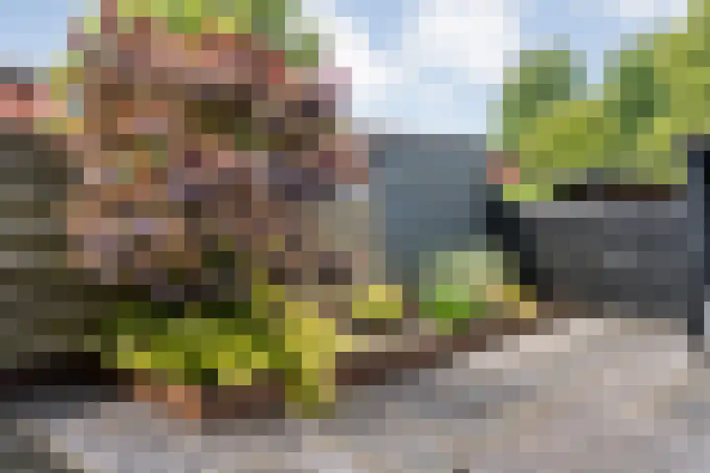 Kalkbranderstraat 66 Zwolle thumbnail 36