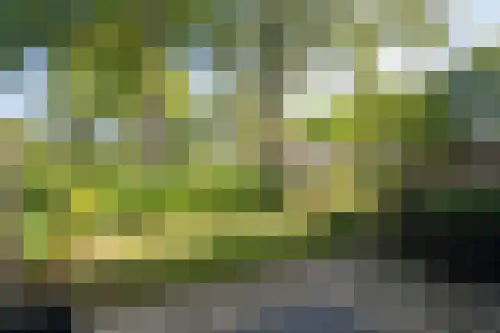 Kalkerlanden 17 Enschede thumbnail 31