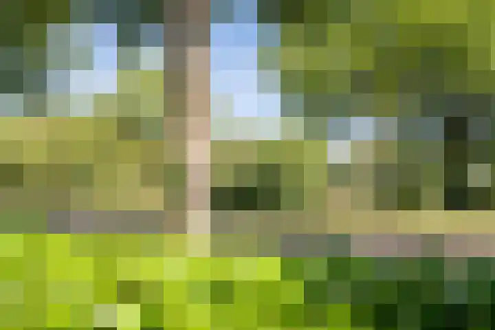 Kalkerlanden 17 Enschede thumbnail 33