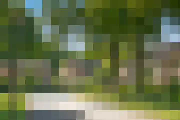 Kalkerlanden 6 Enschede thumbnail 37
