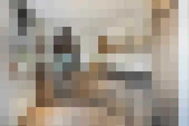 Kalkestraat 2 a Dodewaard thumbnail 11