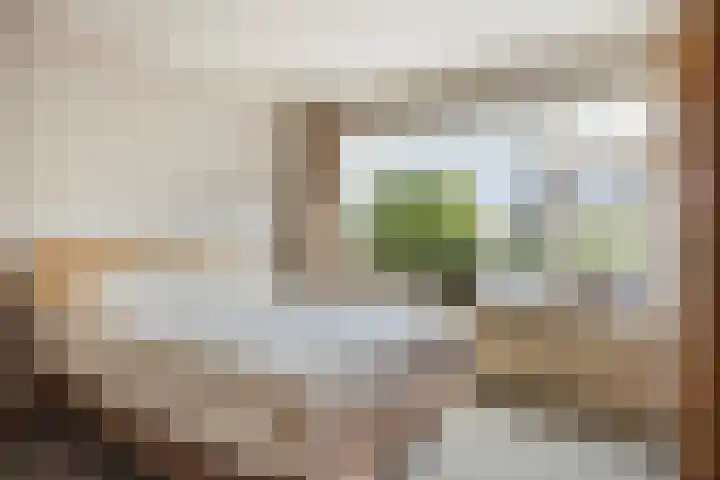 Kalkestraat 2 a Dodewaard thumbnail 17