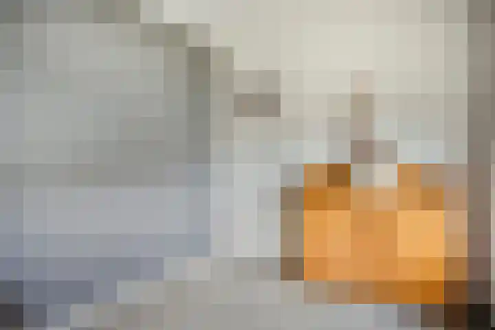 Kalkestraat 2 a Dodewaard thumbnail 20