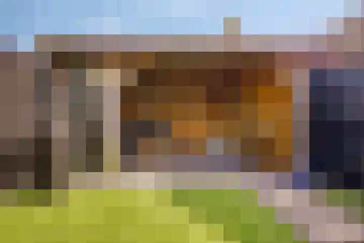 Kalkestraat 2 a Dodewaard thumbnail 34