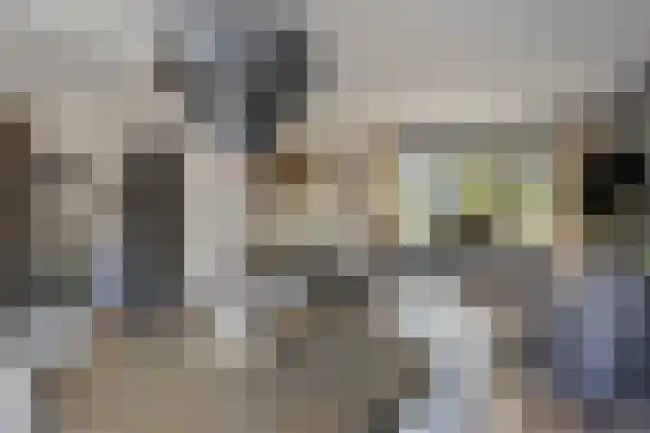 Kalkestraat 2 a Dodewaard thumbnail 4