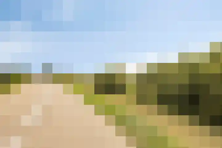 Kalkestraat 2 a Dodewaard thumbnail 40