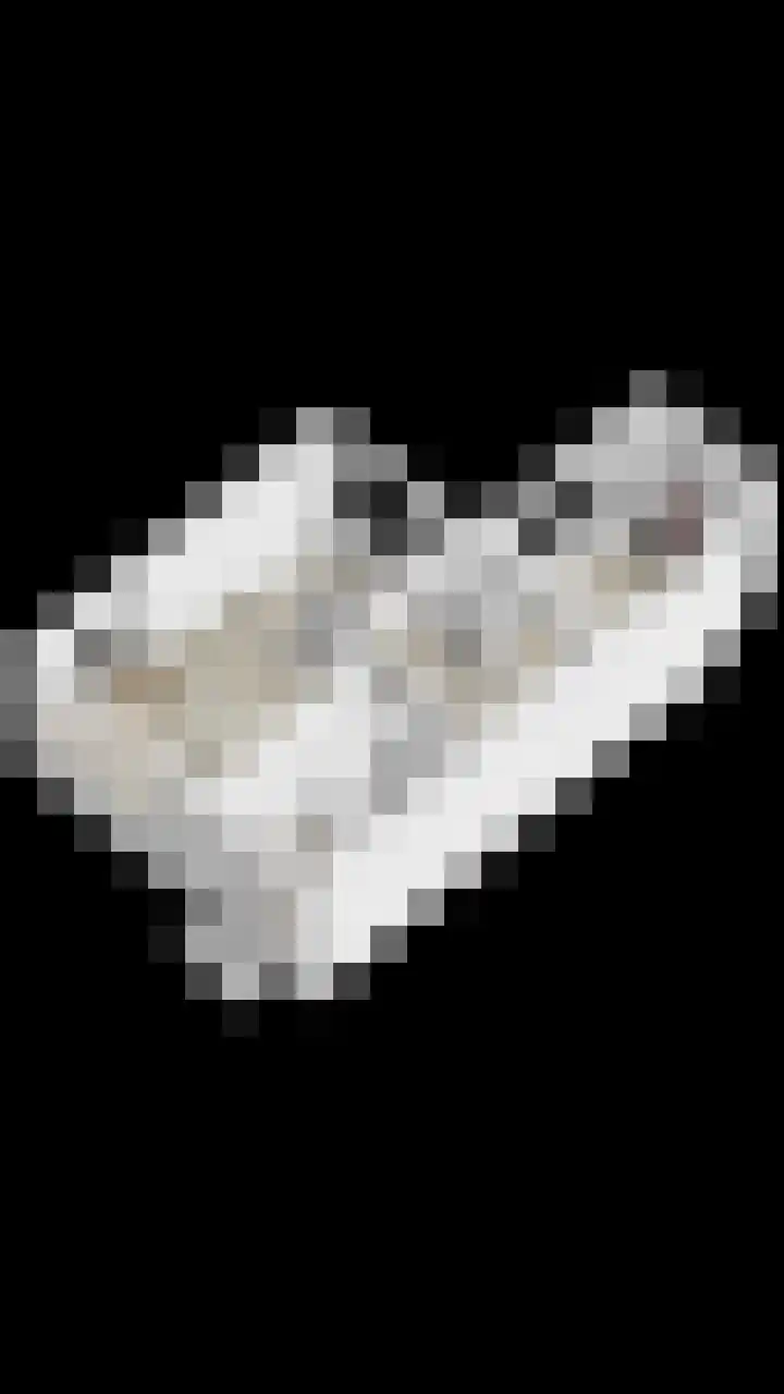 Kalkestraat 2 a Dodewaard thumbnail 43