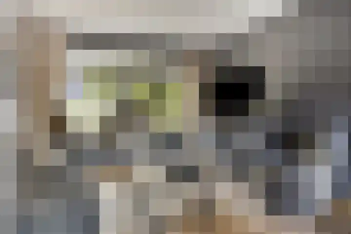 Kalkestraat 2 a Dodewaard thumbnail 5