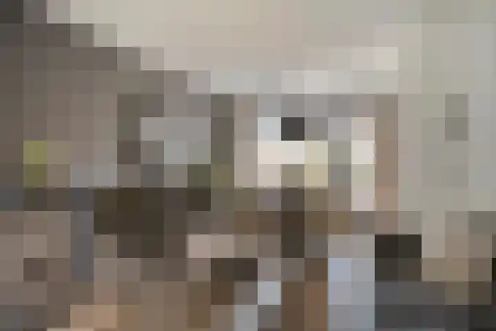 Kalkestraat 2 a Dodewaard thumbnail 7