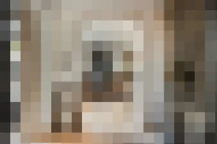 Kalkestraat 2 a Dodewaard thumbnail 9