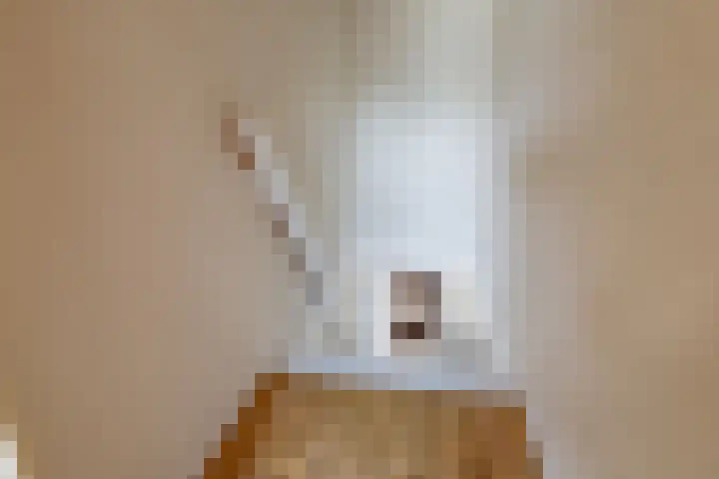 Kalkestraat 3 d Dodewaard thumbnail 47