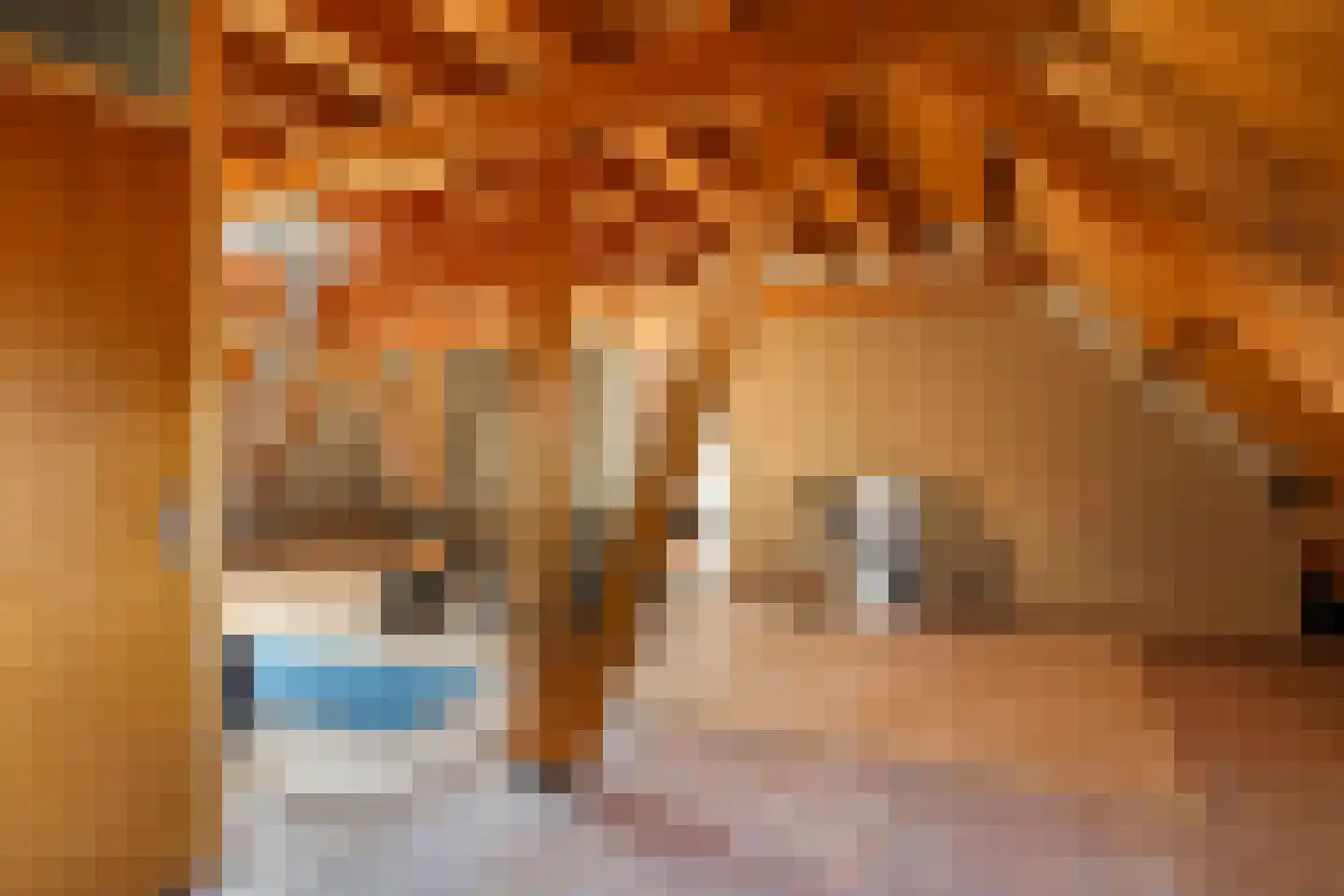 Kalkestraat 3 d Dodewaard thumbnail 48