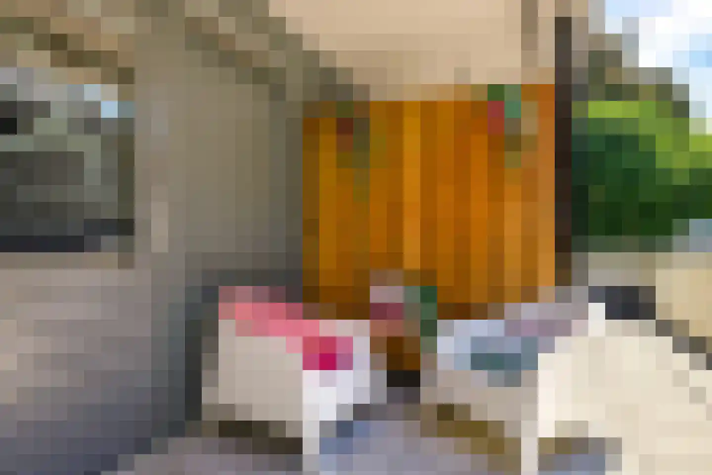 Kalkestraat 3 d Dodewaard thumbnail 55