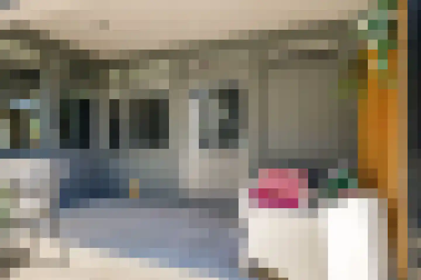 Kalkestraat 3 d Dodewaard thumbnail 58