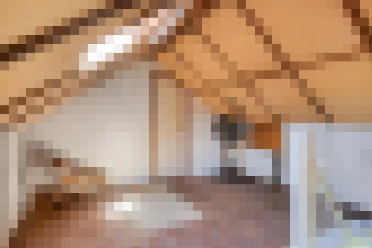 Kalkestraat 4 b Dodewaard thumbnail 29