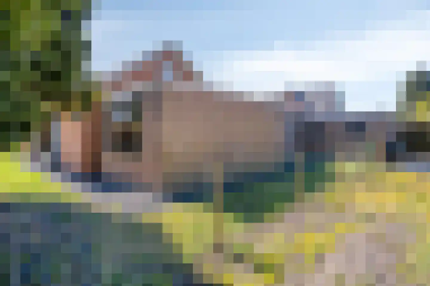 Kalkestraat 4 b Dodewaard thumbnail 38