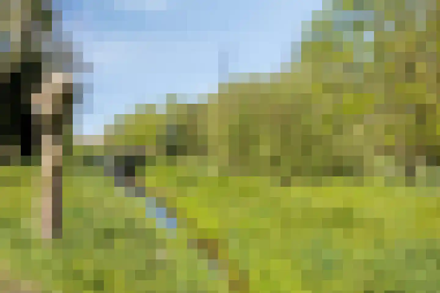 Kalkestraat 4 b Dodewaard thumbnail 42