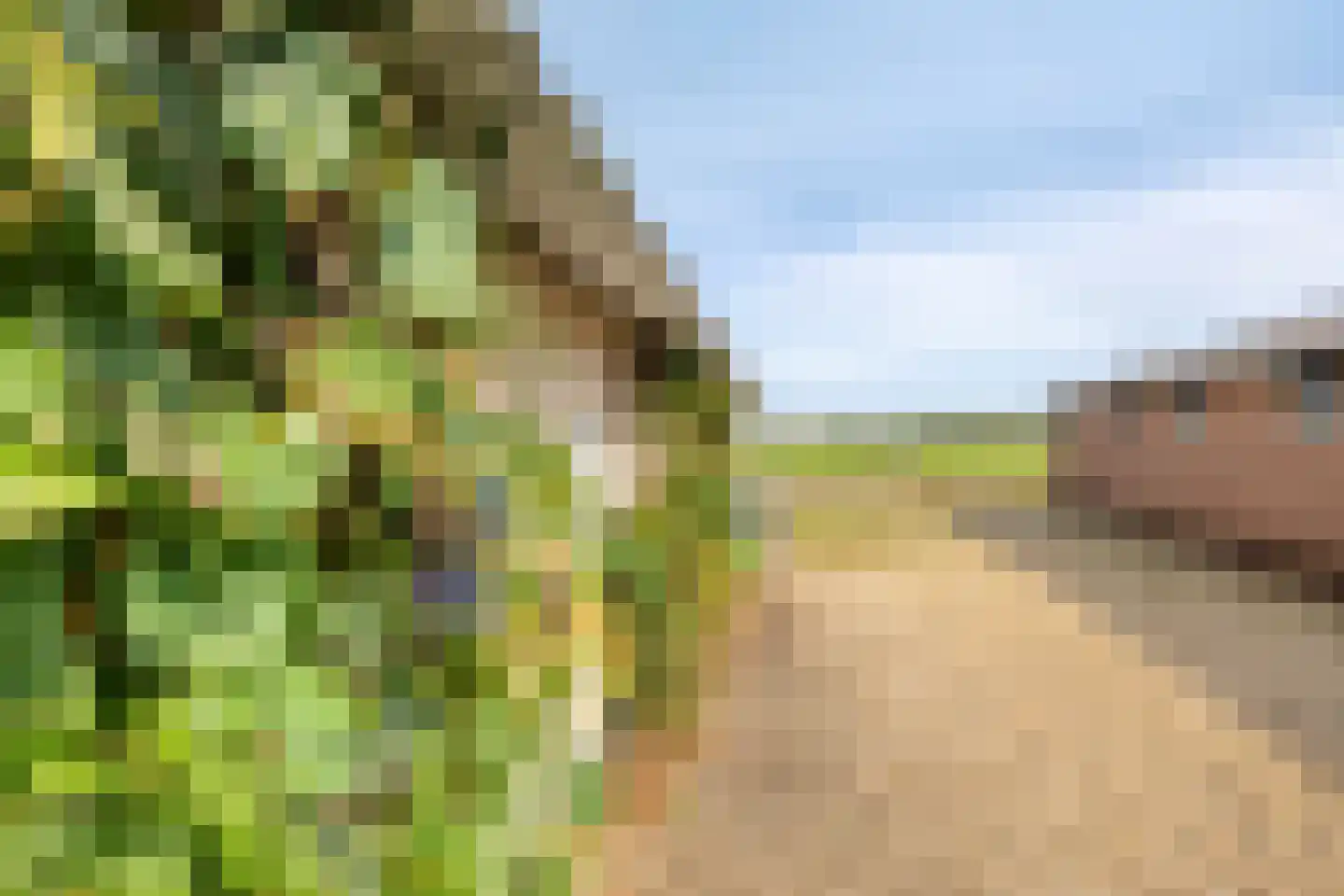 Kalkestraat 49 Dodewaard thumbnail 10