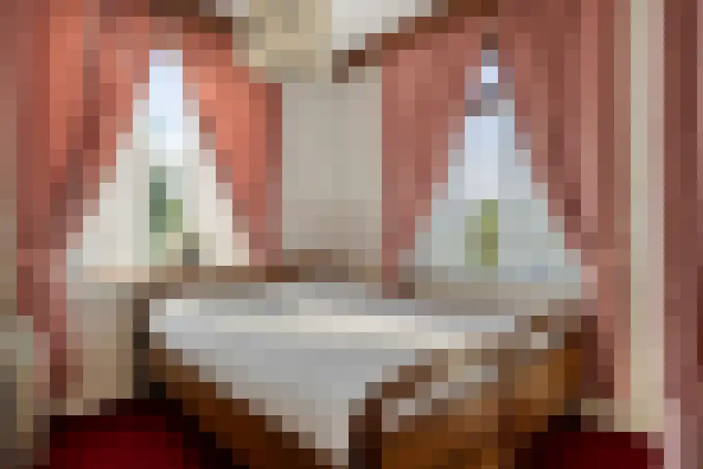 Kalkestraat 49 Dodewaard thumbnail 25