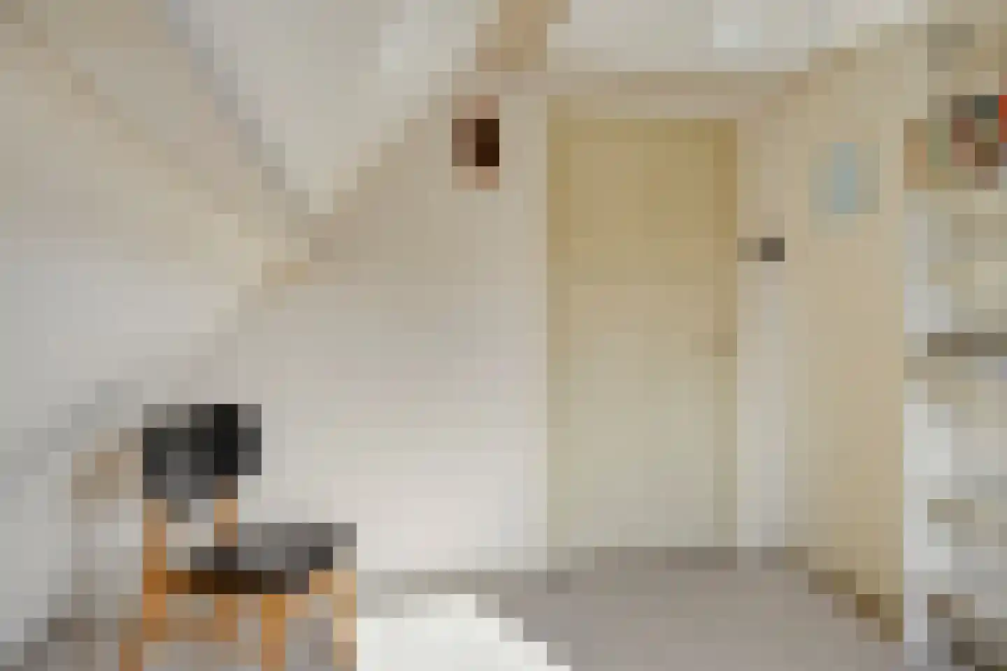 Kalkestraat 49 Dodewaard thumbnail 32