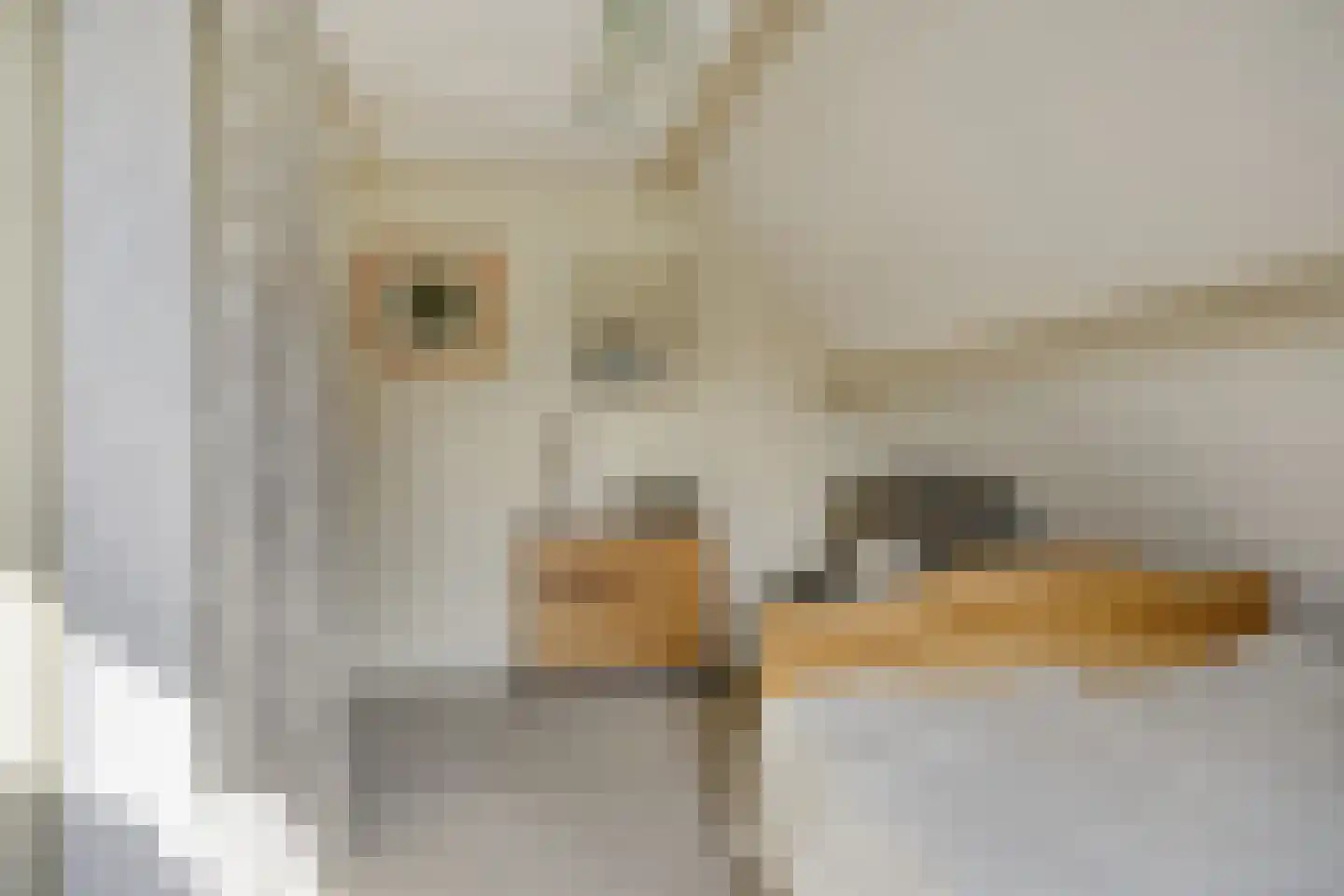 Kalkestraat 49 Dodewaard thumbnail 34