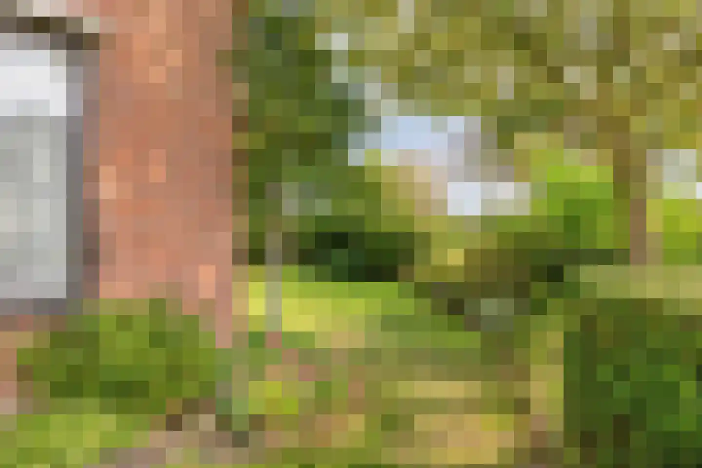 Kalkestraat 49 Dodewaard thumbnail 37