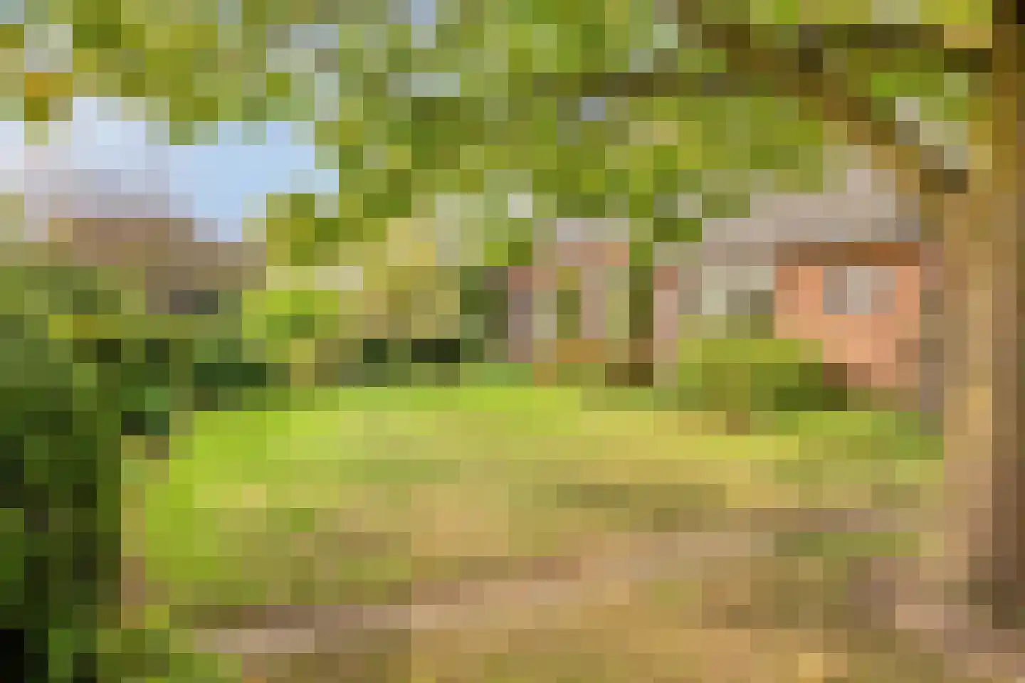 Kalkestraat 49 Dodewaard thumbnail 38