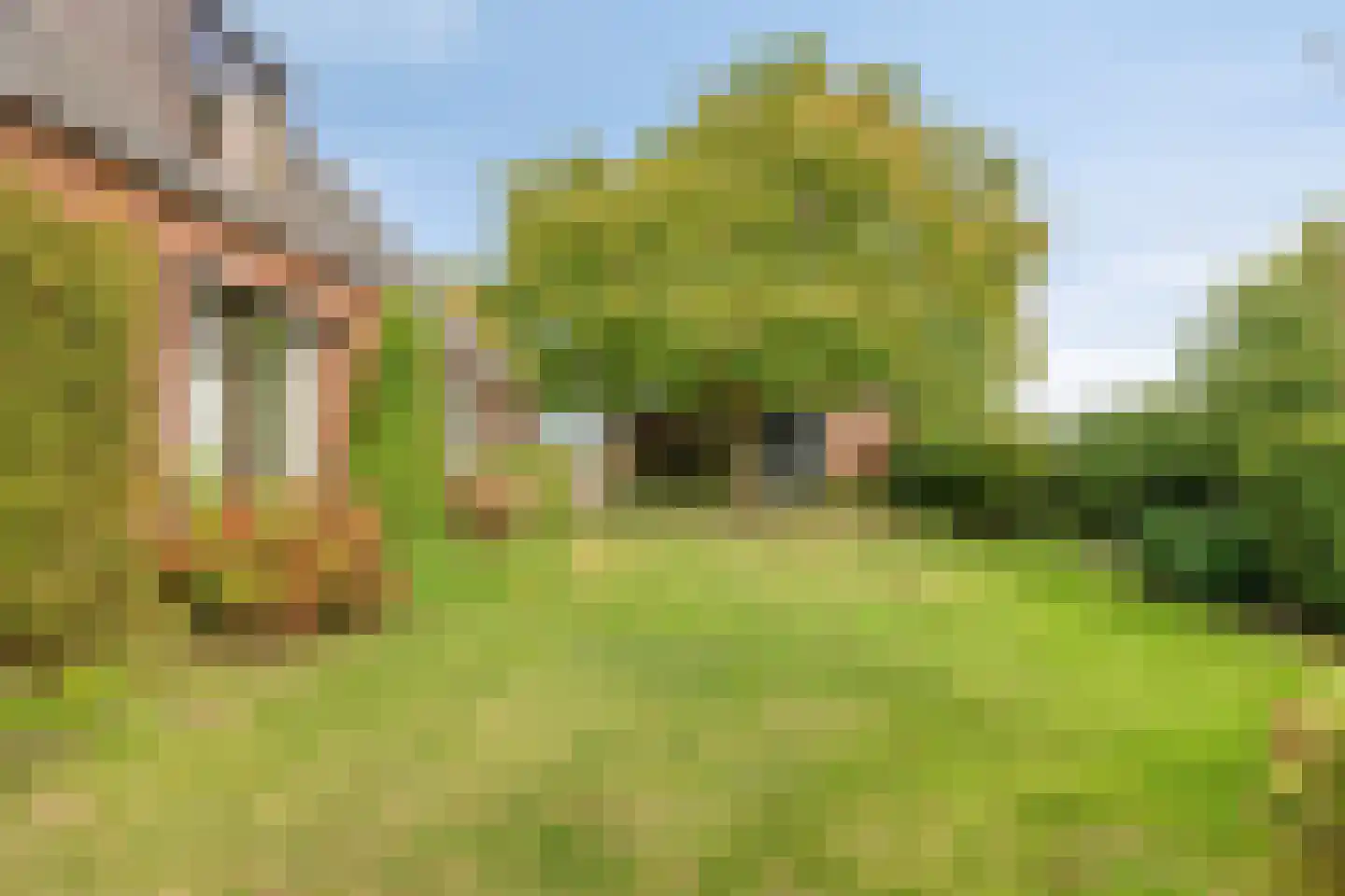 Kalkestraat 49 Dodewaard thumbnail 39