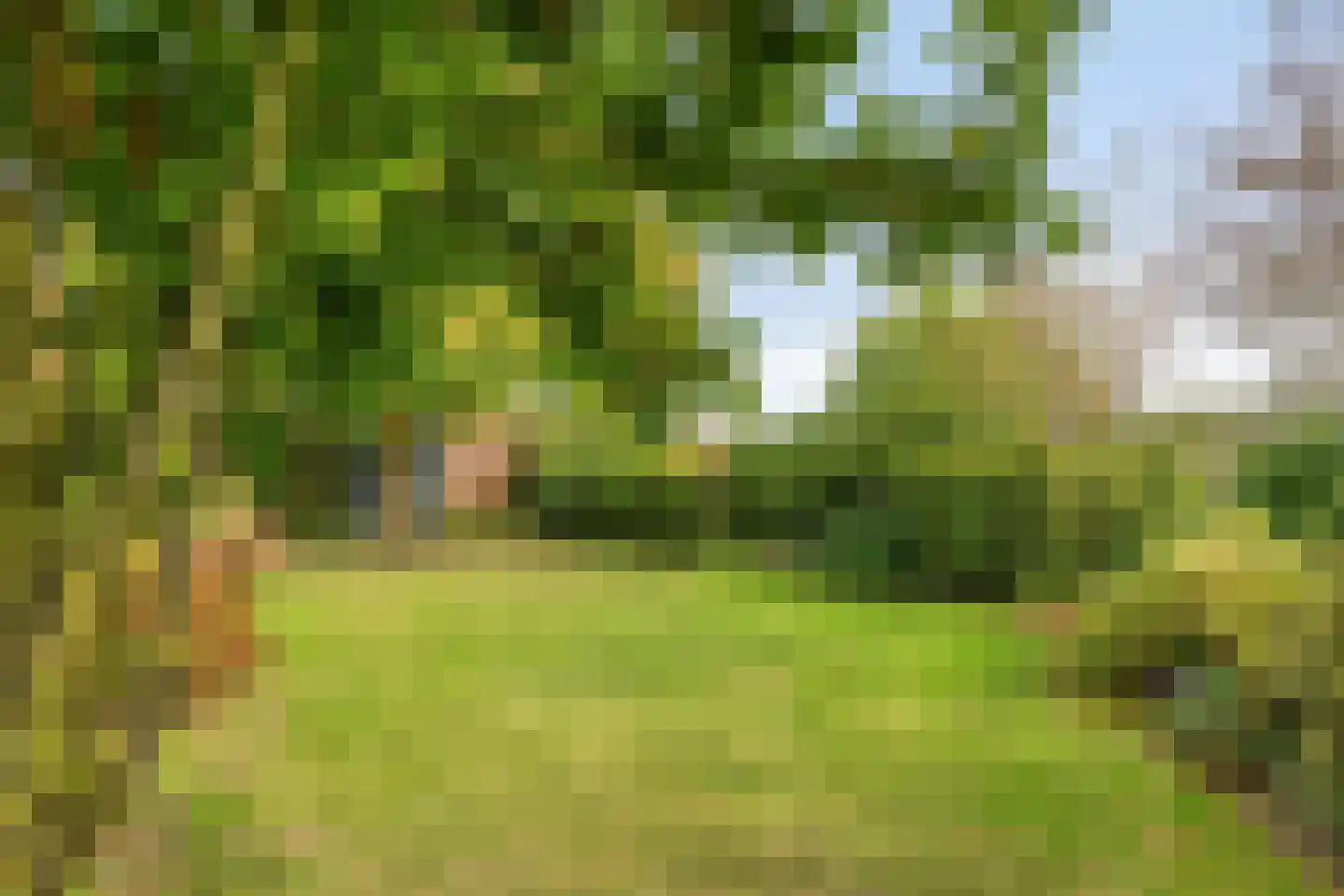 Kalkestraat 49 Dodewaard thumbnail 41