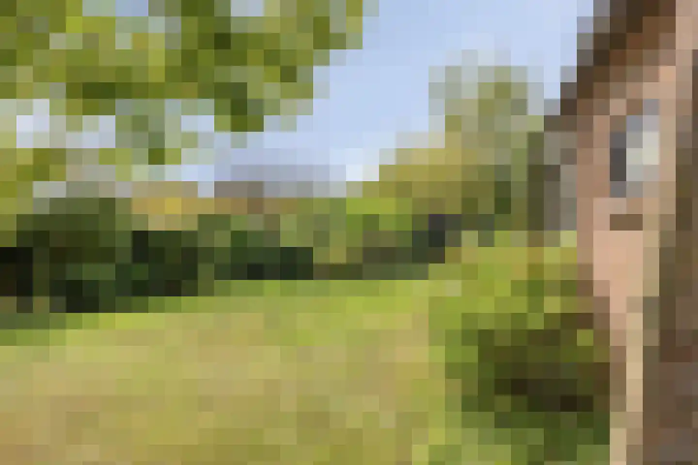 Kalkestraat 49 Dodewaard thumbnail 43