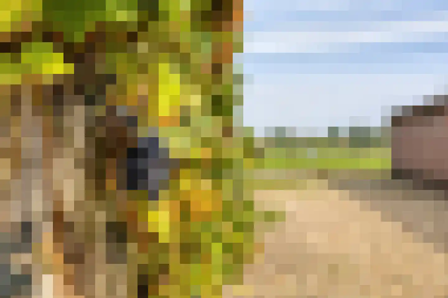 Kalkestraat 49 Dodewaard thumbnail 45